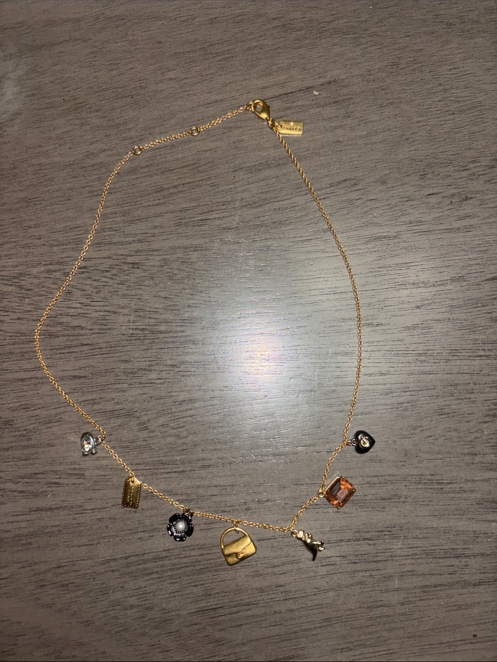Coach Gold-Tone Multi-Charm Necklace with Black and Amber Accents